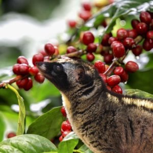 0c26d0b35861dd1b58261f1ac5723d64-scaled-1500x1000