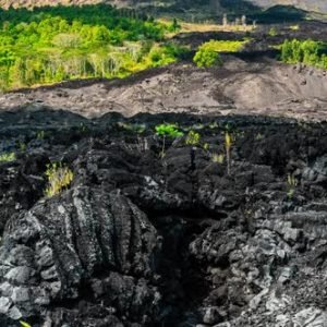 inline_image_preview