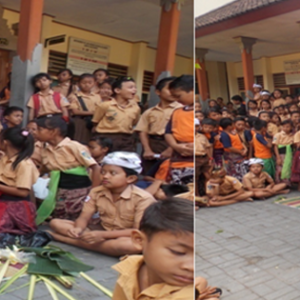 sdn29denpasr-1156x315